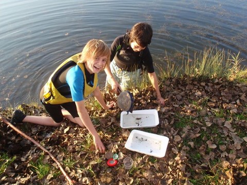 Eduction environnement Amiens